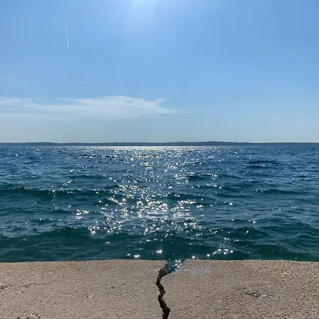 Διαμέρισμα Casa Maslina - 2 *